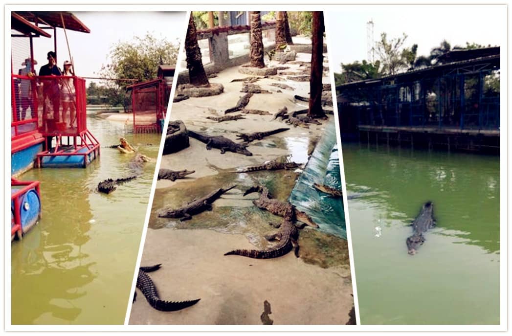 1467191786940512.jpg 1.jpg