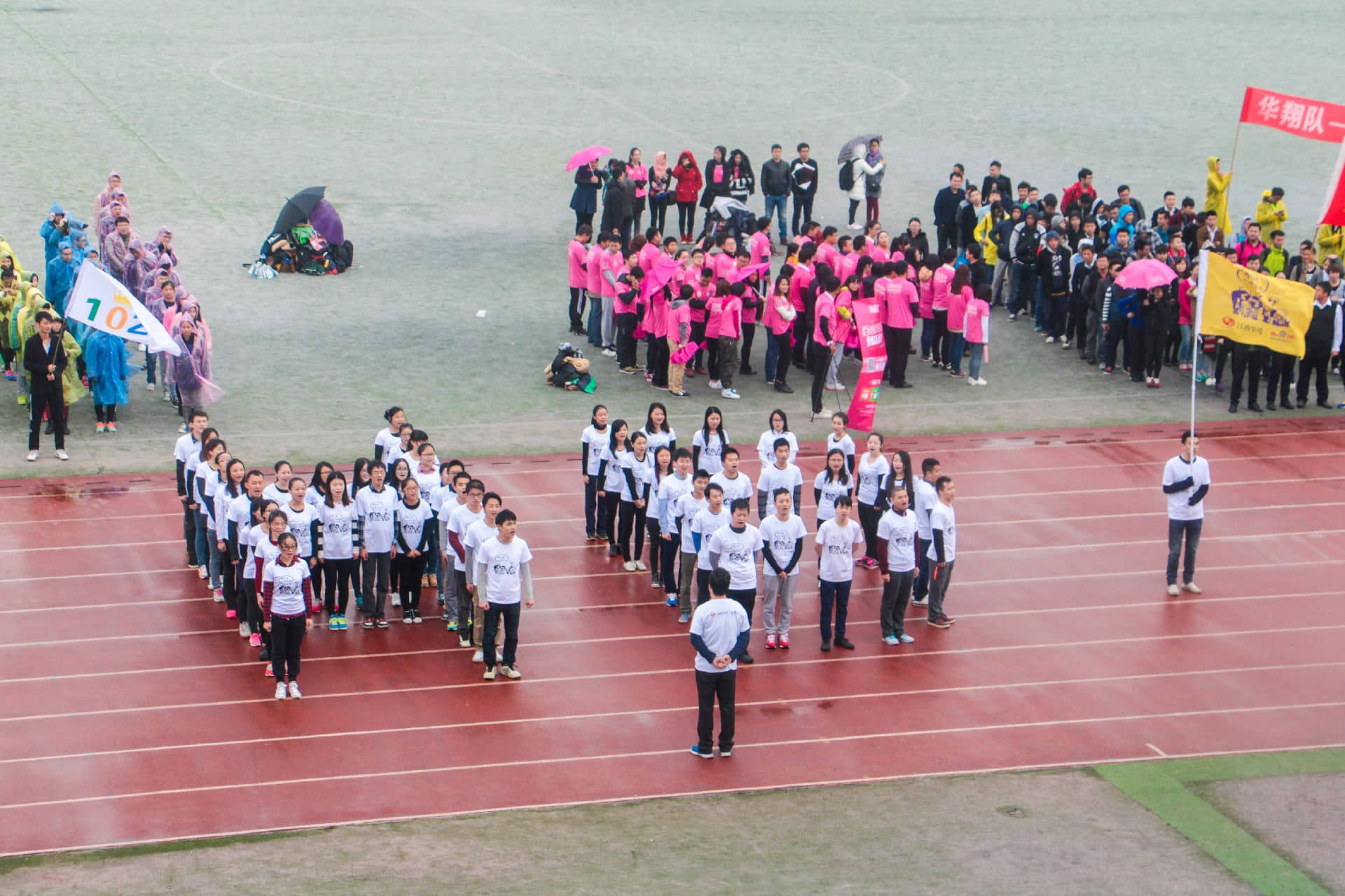 1467265900351186.jpg 9.jpg